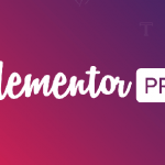 Elementor Pro Activated